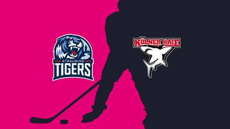 Straubing Tigers - Kölner Haie: Tore und Highlights | PENNY DEL