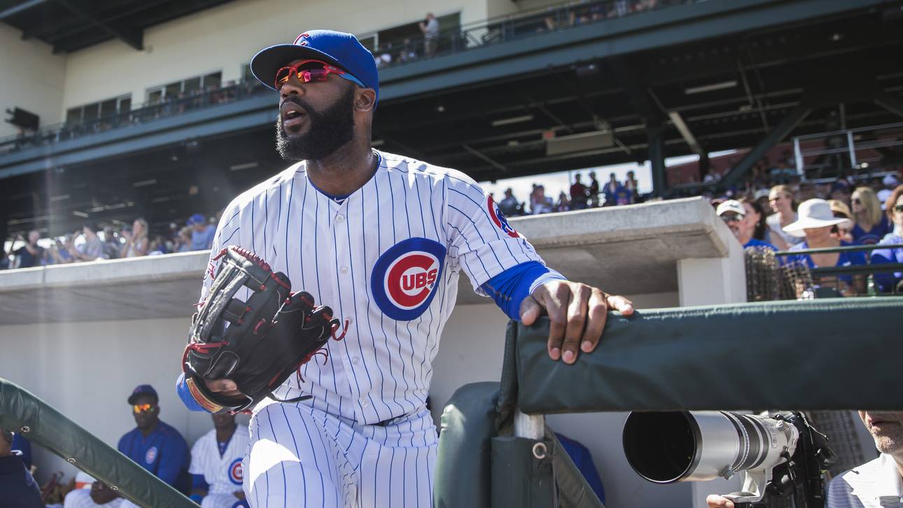 Cubs-Star wird von Bienen attackiert