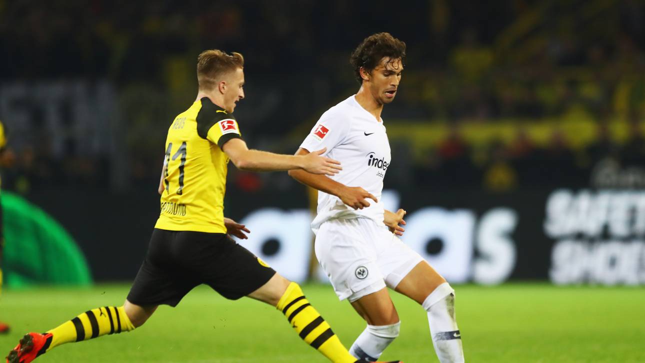 Frankfurter Torro wird operiert