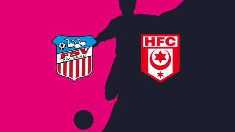 FSV Zwickau - Hallescher FC: Tore und Highlights | 3. Liga