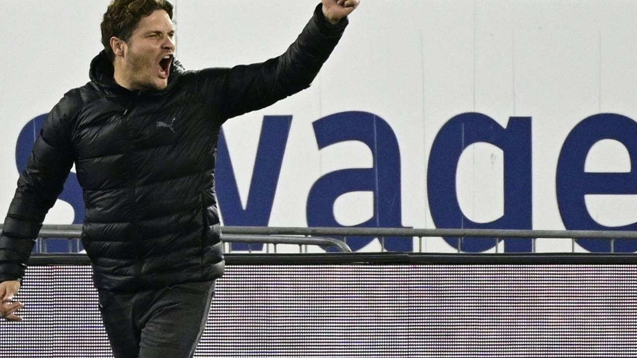 Terzic glücklich mit Haller