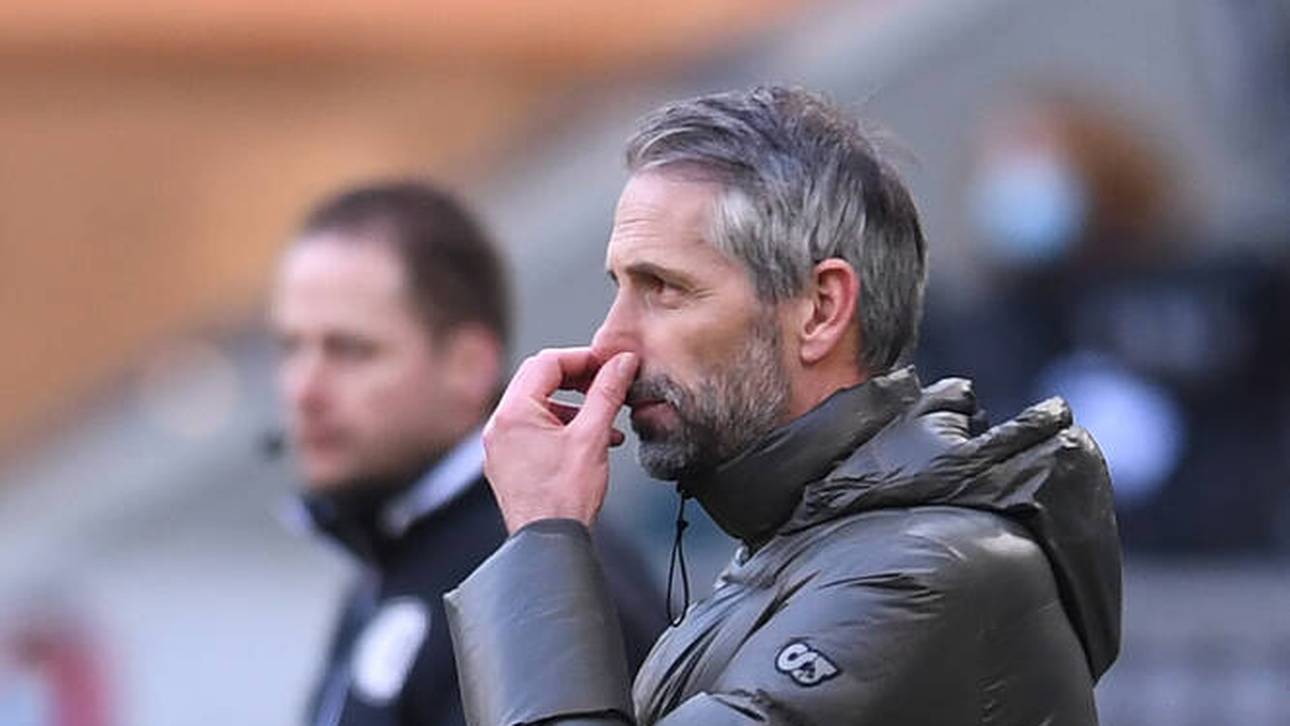 Matthäus: Spieler nicht hinter Rose