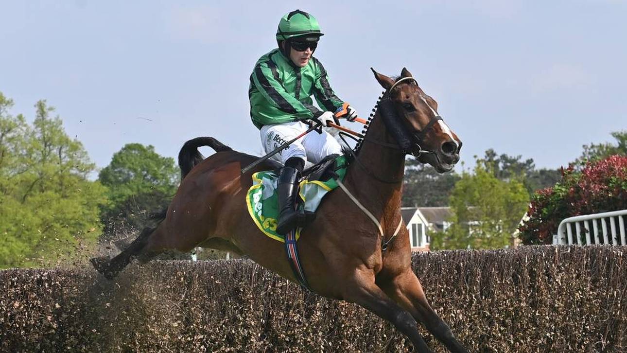 Kultpferd macht England verrückt