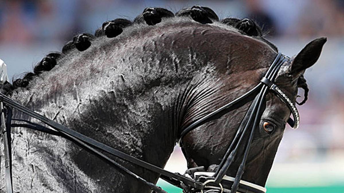 Er habe "noch nie erlebt, dass ein Paar nach Grand Prix und Special in der Kür plötzlich ohne Verletzung fehlte", sagt Kemperman und klagt: "Wir müssen uns bei unseren Sponsoren und Zuschauern dafür entschuldigen, dass er gefehlt hat." Rath begründet die Absage derweil mit der hohen Belastung der letzten Wochen