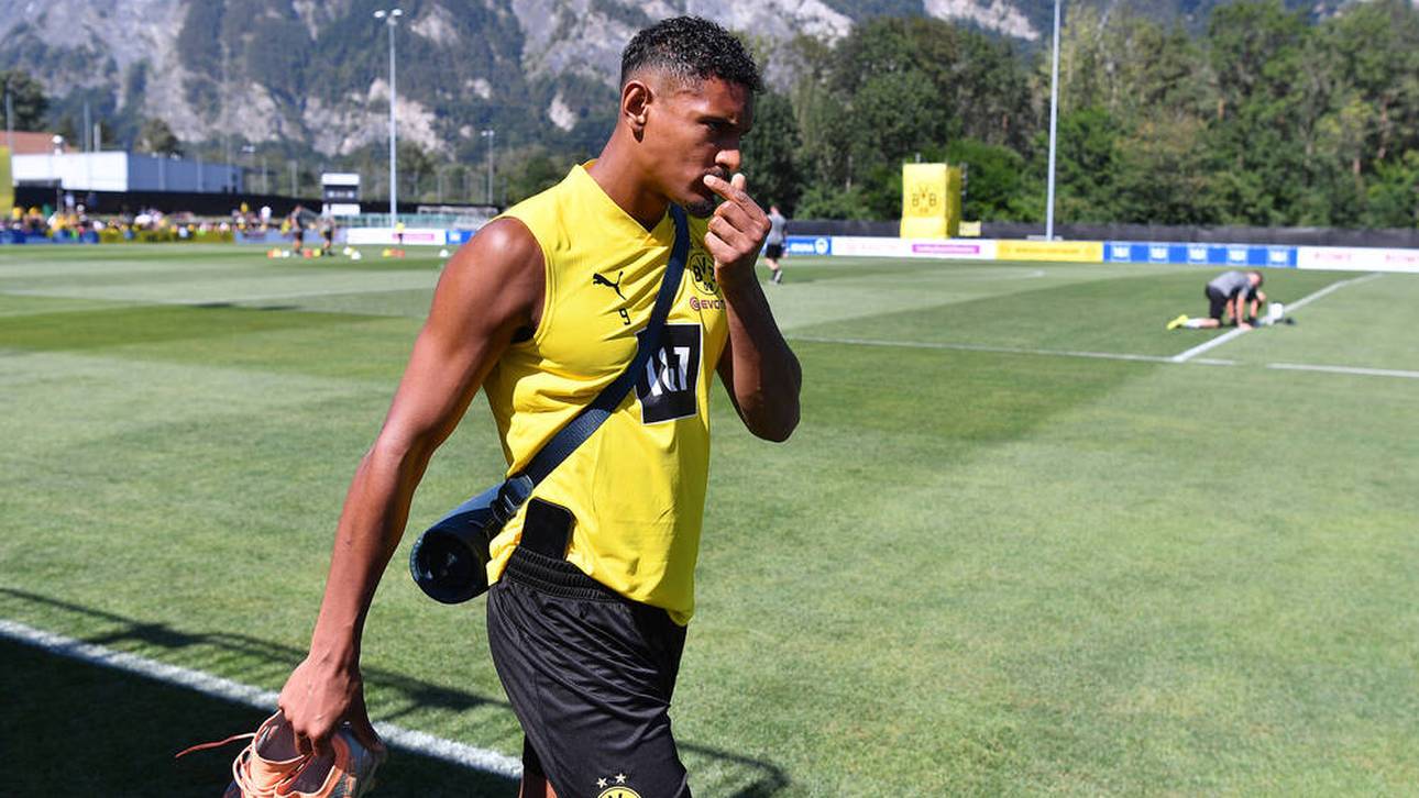 Reaktionen zum Haller-Schock