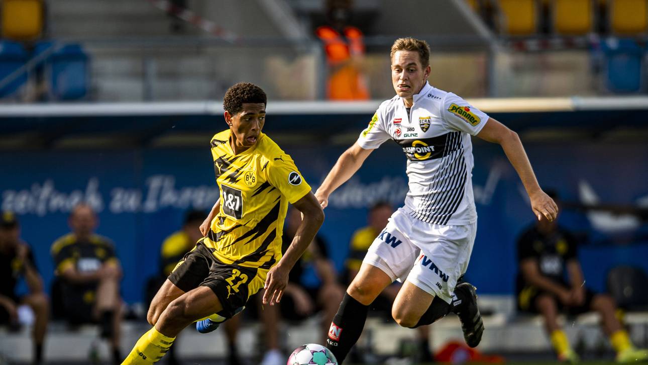 Favre schwärmt von Bellingham