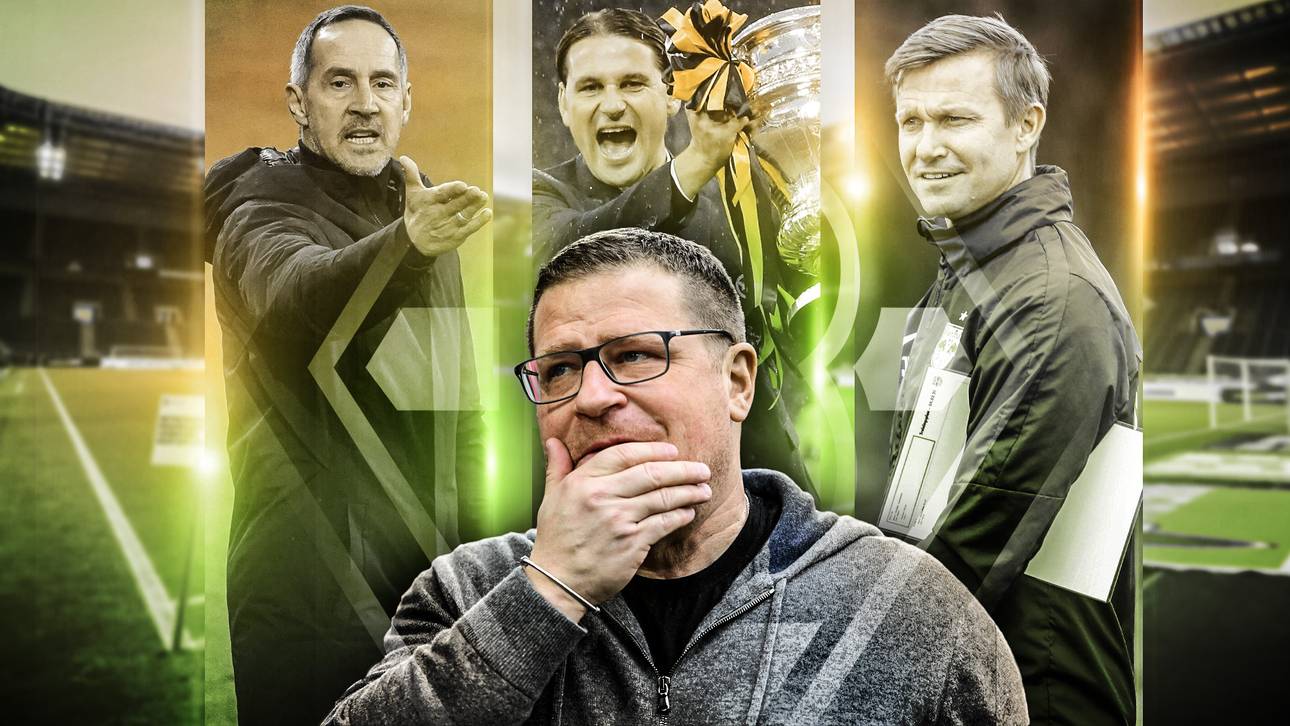 Wer kann Rose beerben?