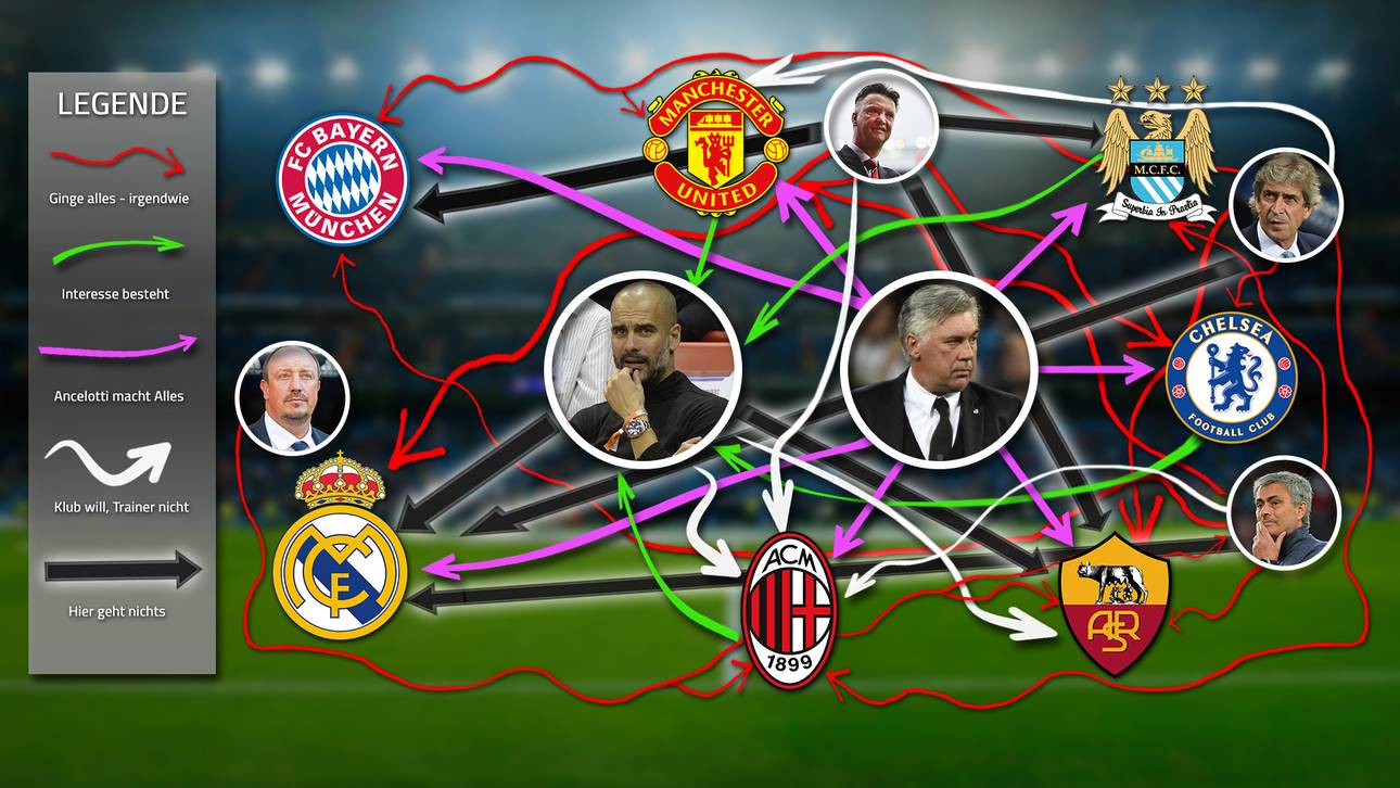 Das große Trainer-Domino