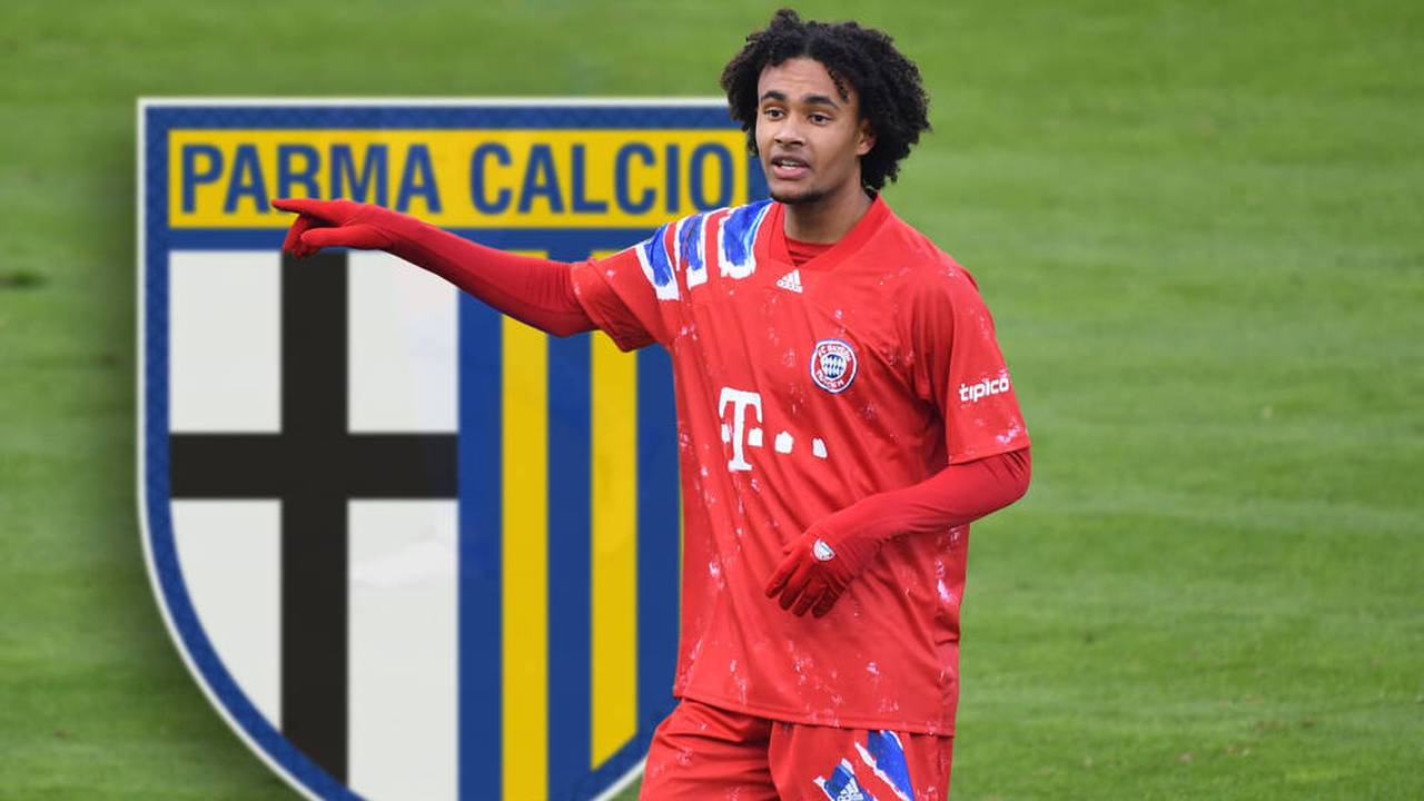 Transfermarkt: FC-Bayern-Abschied? Zirkzee-Deal angeblich fix