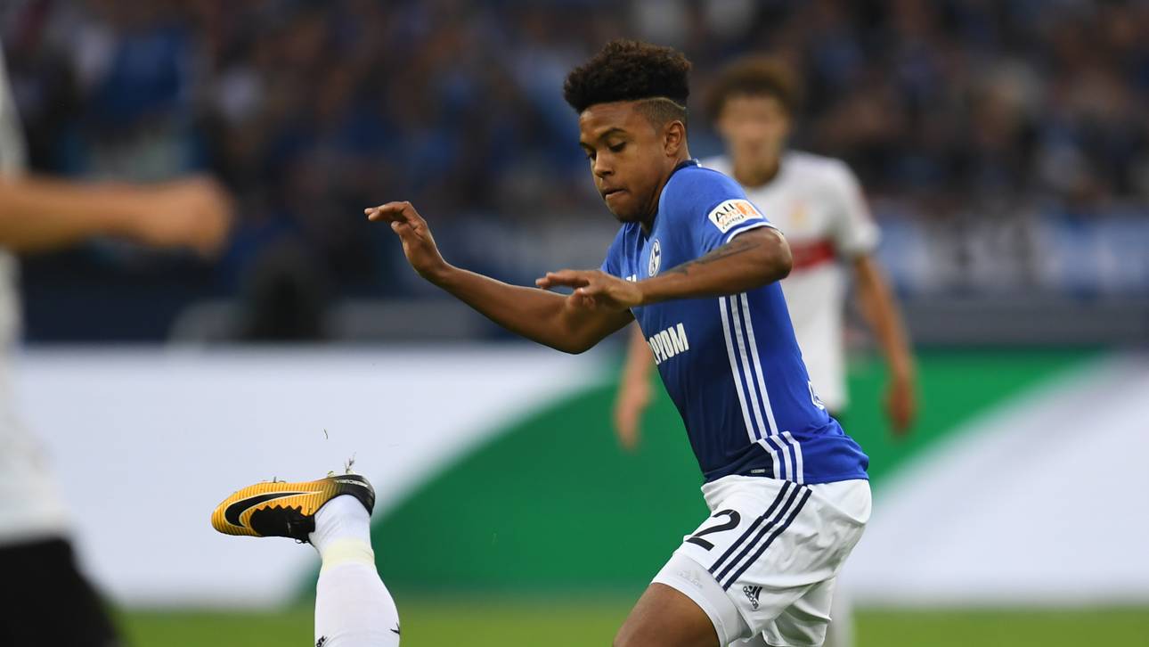 Schalkes McKennie fällt aus