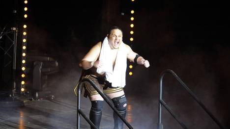 Samoa Joe bei TNA Wrestling 2010