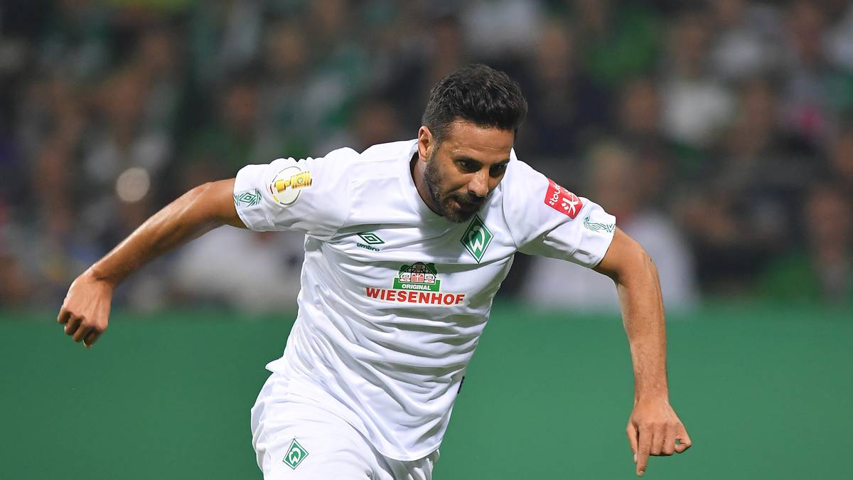 PERU (1) Stellvertretend für alle Nationen, die zwei oder weniger Legionäre stellen, steht Peru. Mit Claudio Pizarro hat der Andenstaat einen der populärsten Bundesligaspieler überhaupt in seinen Reihen