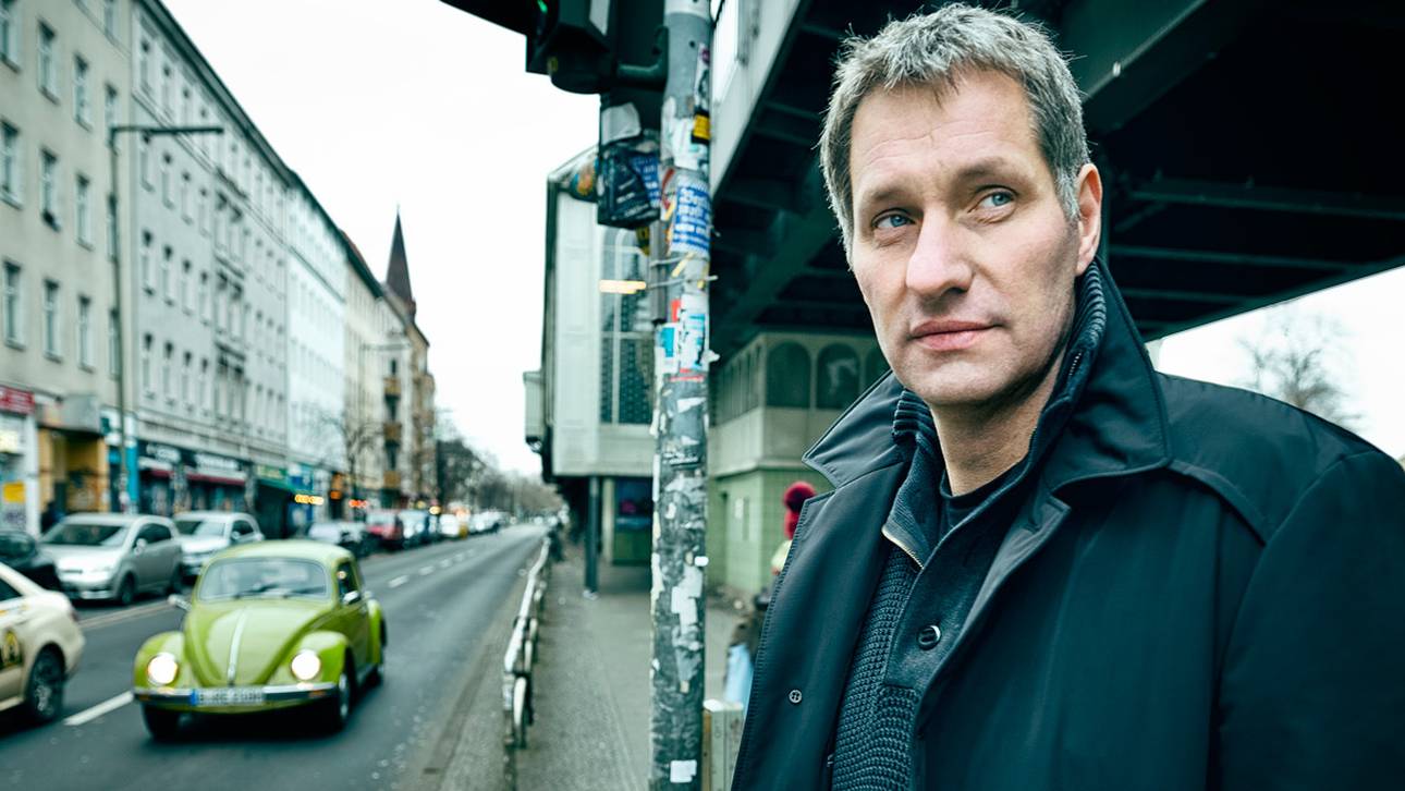 „Man kann die Dummheit überwinden“