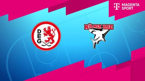 Düsseldorfer EG - Kölner Haie: Tore und Highlights | PENNY DEL