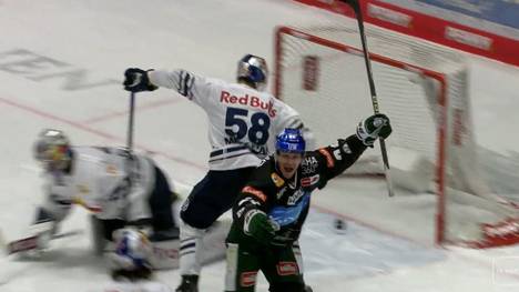 Augsburger Panther - EHC Red Bull München: Tore und Highlights | PENNY DEL