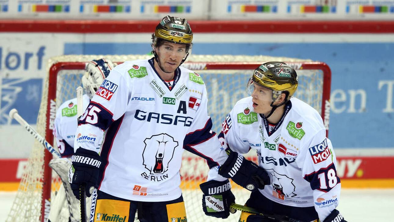 Eisbären in Krefeld gefordert
