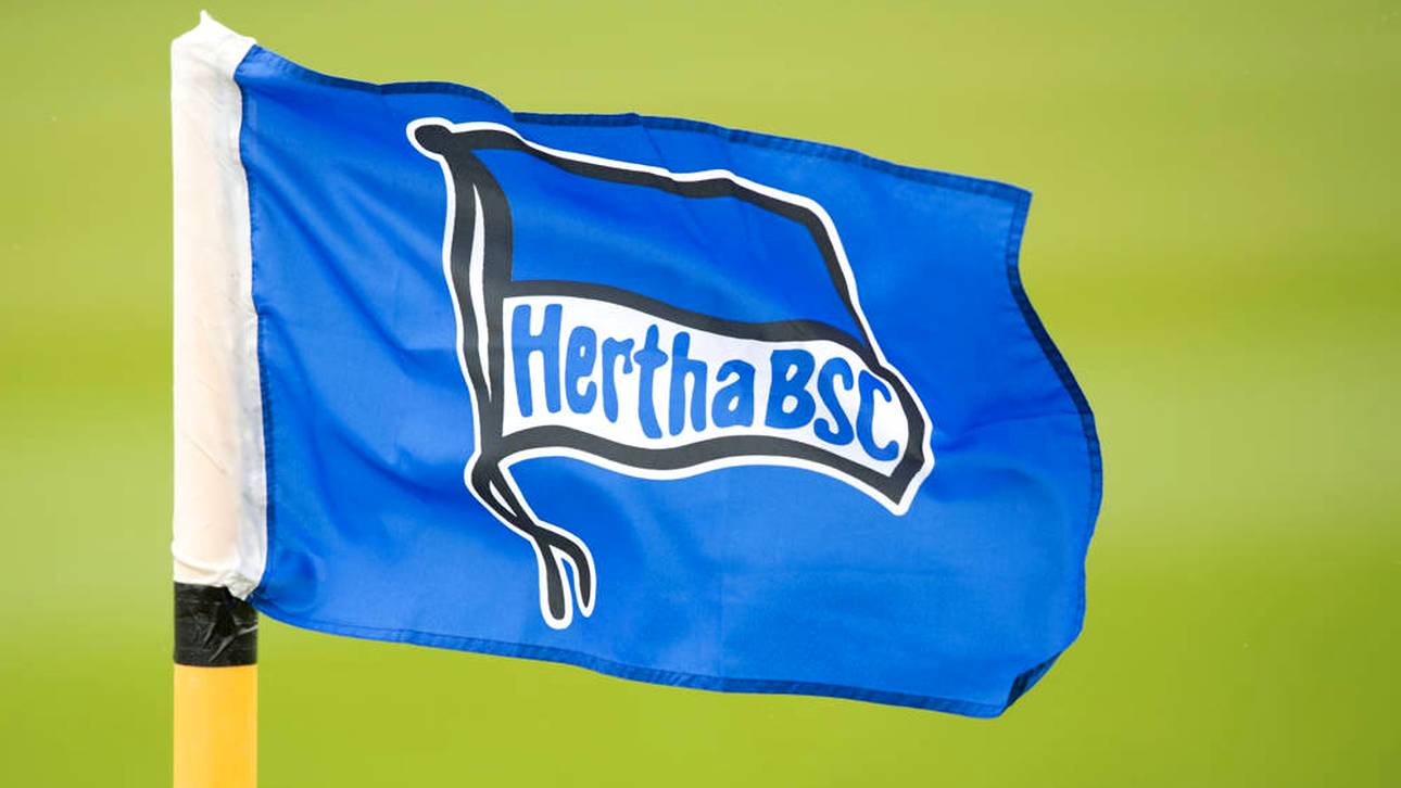 Pikant: Herthas neuer Trikotsponsor
