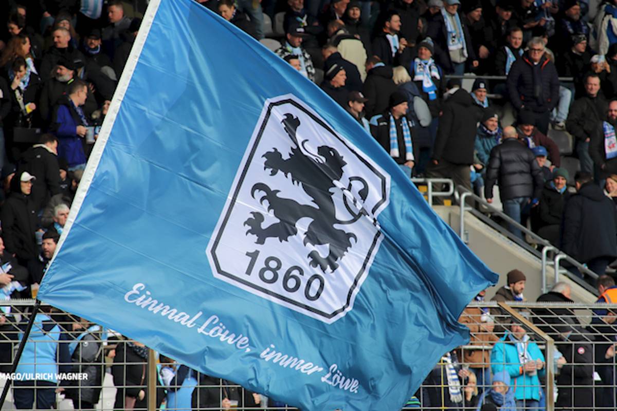 Löwen-Hammer ist amtlich!