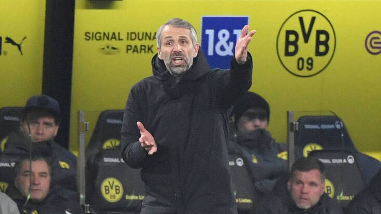 Rose zofft sich mit TV-Experte