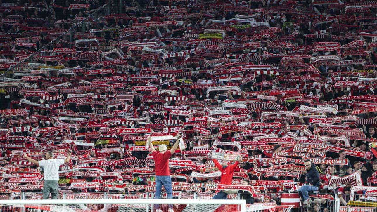 Fan-Eklat: „Dummen sterben nicht aus“