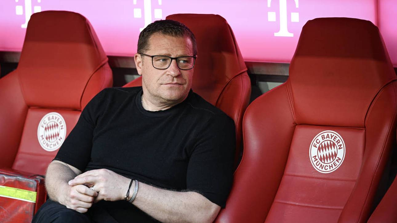 Palhinha? Eberl äußert sich vielsagend