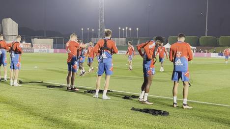 Der FC Bayern startet in die Vorbereitung für die zweite Saisonhälfte. Größte Baustelle im Kader der Münchner ist die Torhüterposition, denn bisher wurde immer noch kein Ersatz für Manuel Neuer gefunden. 