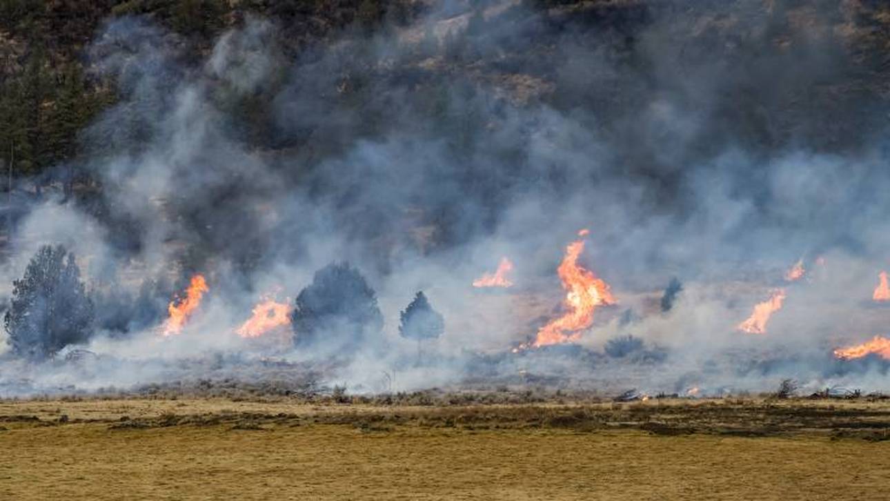 Waldbrände beeinflussen Golfturnier