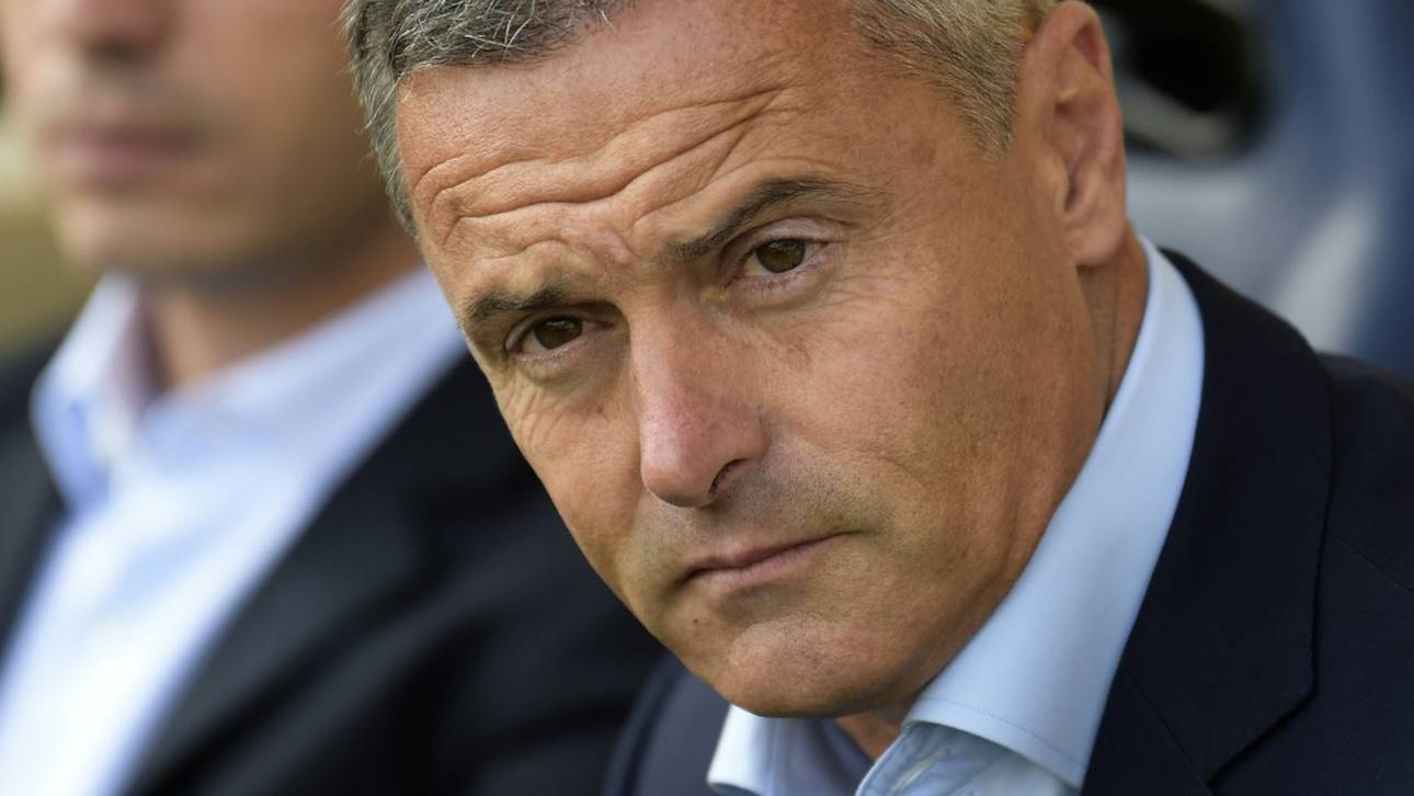 Escriba kehrt nach Elche zurück