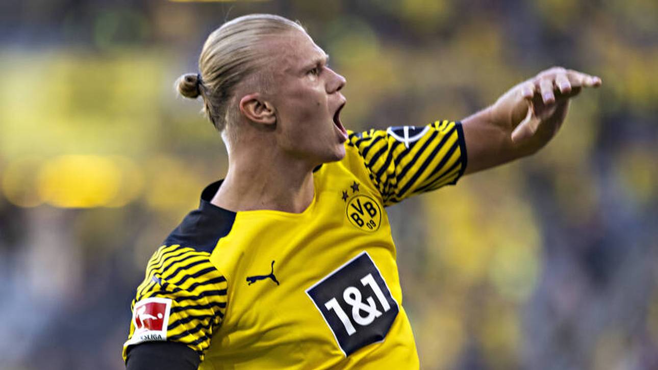 Die unfassbaren Zahlen von Urgewalt Haaland