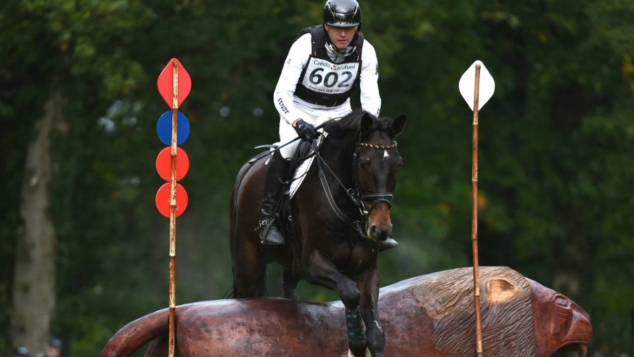 Guter EM-Start für deutsche Vielseitigkeitsreiter