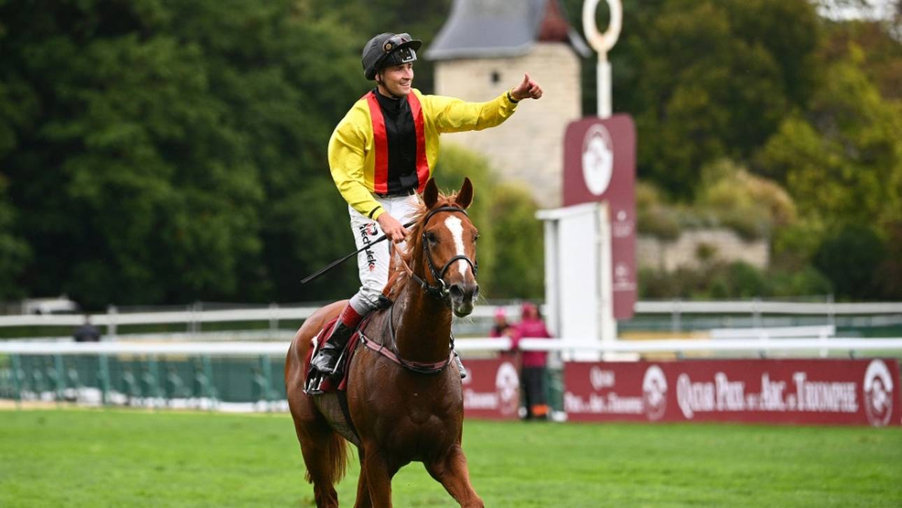 Deutscher Erfolgshengst macht weiter