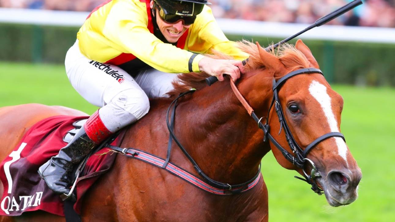 Nach Sturz: Reiterin in Klinik geflogen