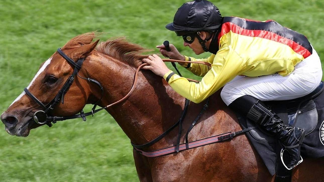 Torquator Tasso dominiert beim Großen Hansa-Preis