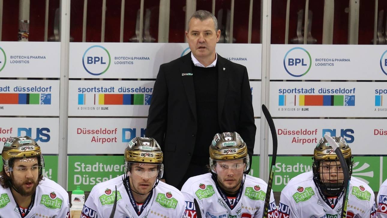 „Lohn eingefahren“: Eisbären genießen Erfolg