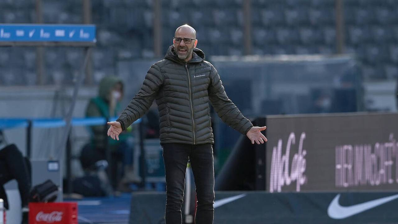 Peter Bosz wird als Trainer bei Bayer Leverkusen entlassen - Hannes Wolf folgt