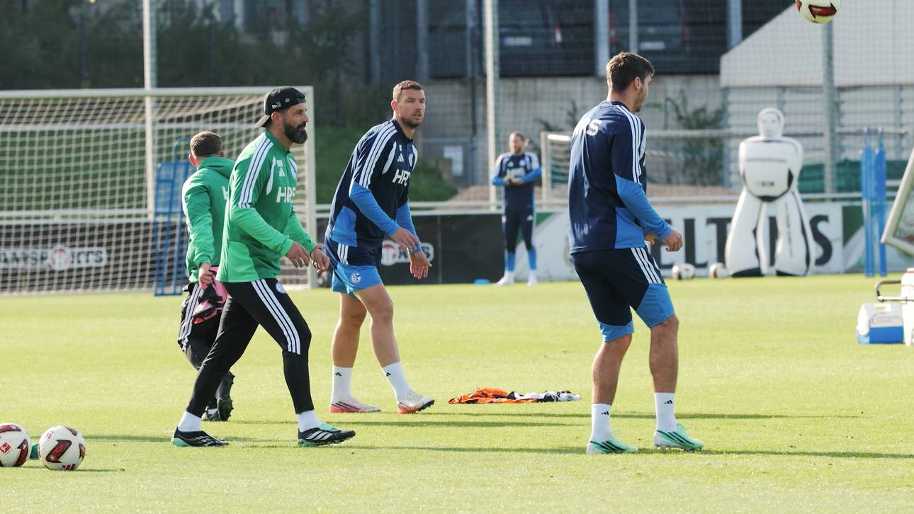 Sturmflaute? So soll der Schalker Knoten platzen