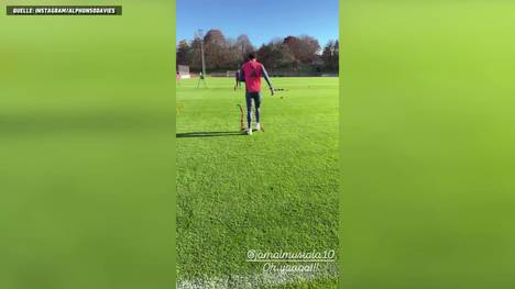 Jamal Musiala ist zurück auf dem Trainingsplatz. Alphonso Davies zeigt, wie der Bayern-Star an seinem Comeback arbeitet. 