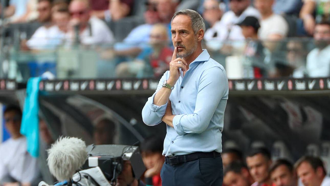 Neuer Trainerjob für Adi Hütter