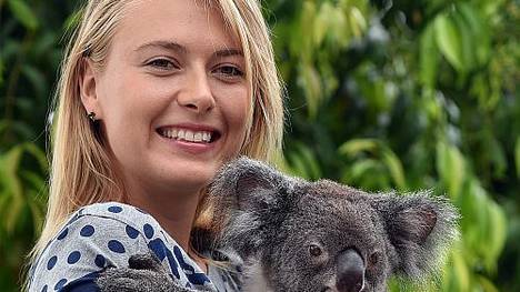 Innig posiert Maria Sharapova am Rande des Turniers in Brisbane mit dem Koala Sinnamon.