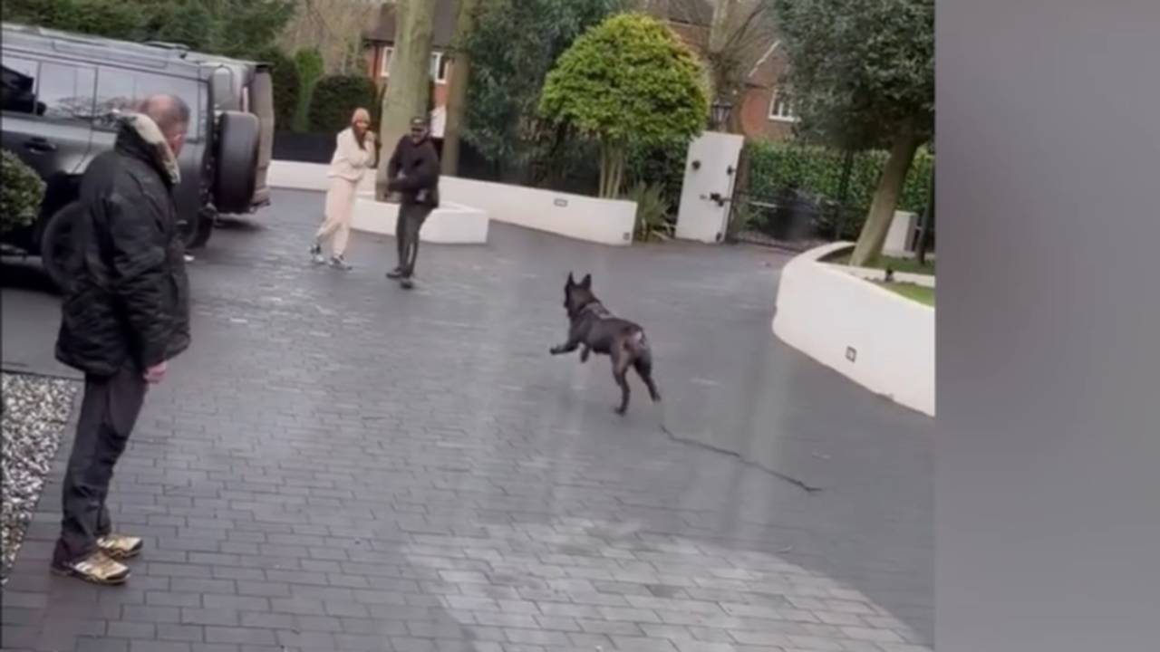 Emiliano Martinez holt sich teuren Wachhund um WM-Medaille zu beschützen
