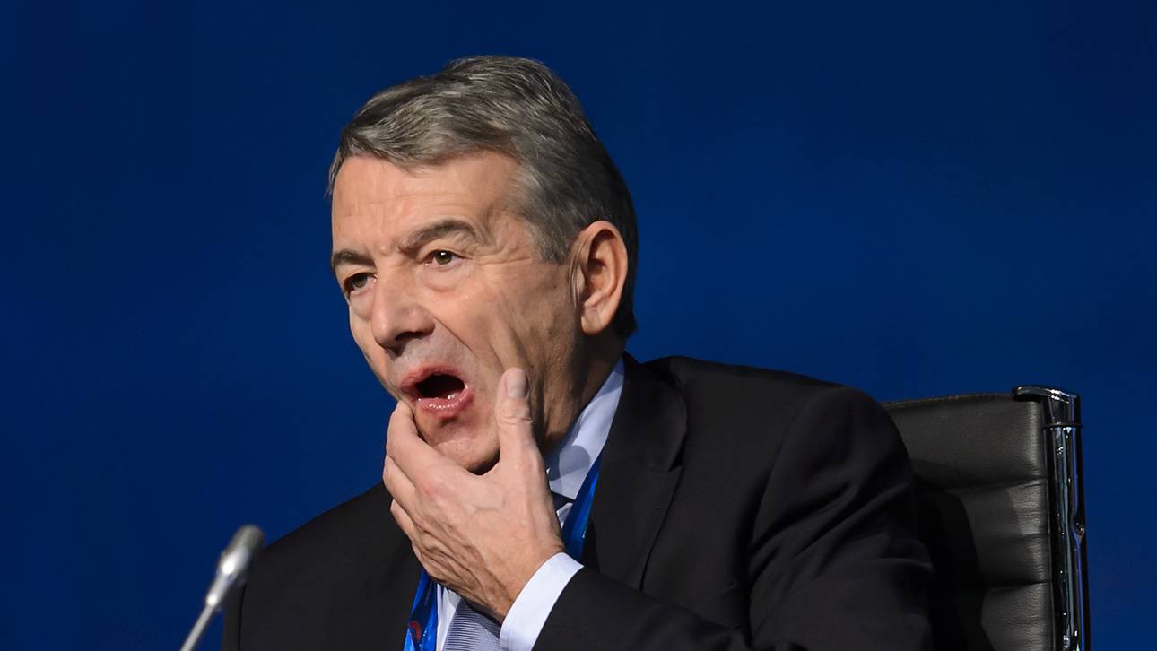 WM 2006: Niersbach räumt Fehler ein