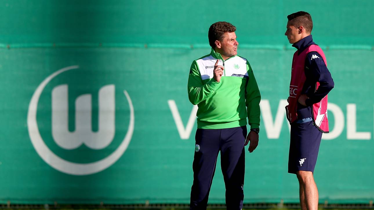 Hecking schließt Draxler-Wechsel aus