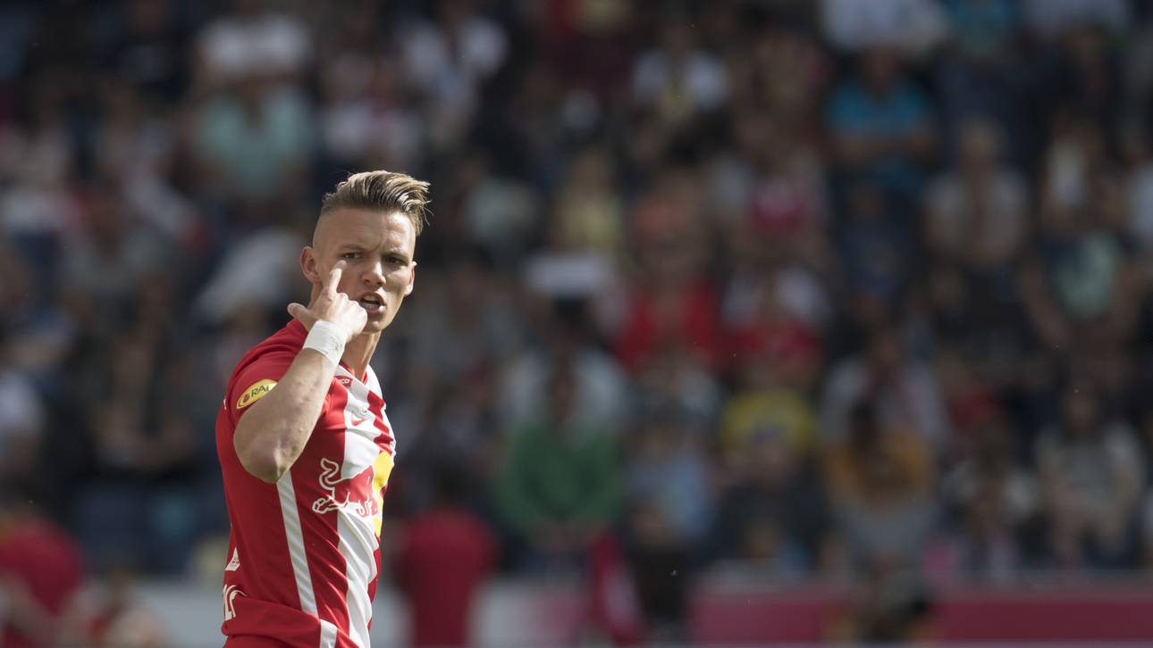 Falsch eingegipst? Wirbel um Wolf