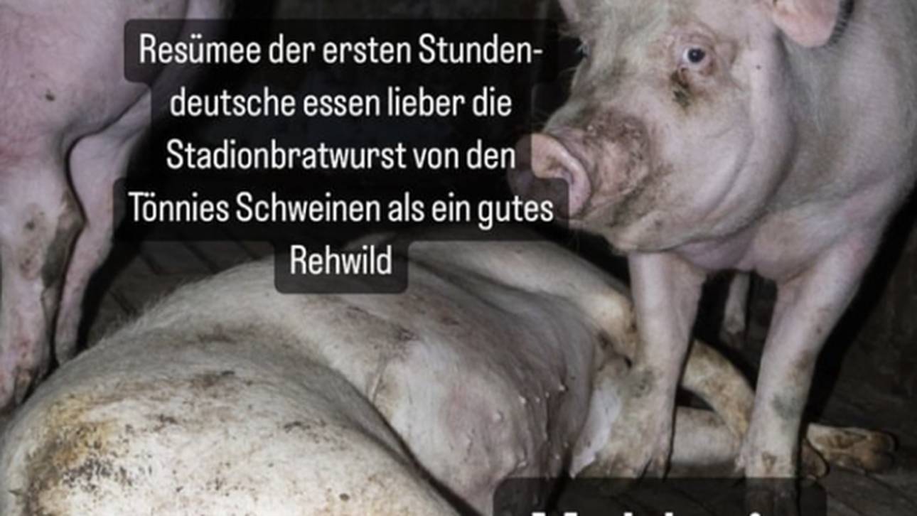 Martin Hintereggers Post in seiner Insta-Story