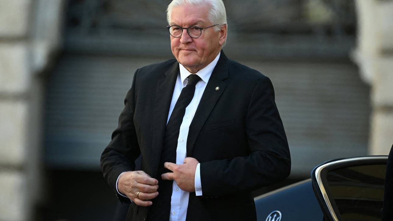 Steinmeier traut DHB-Team „alles“ zu