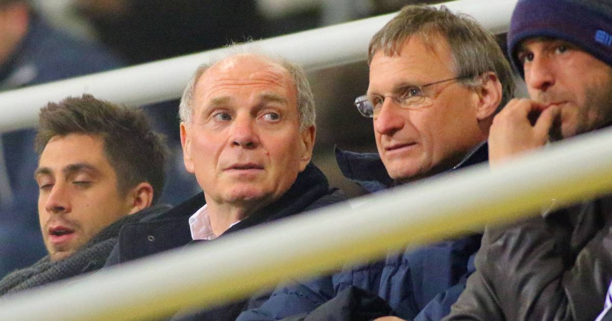TV expert reacts to Hoeneß attack: | 