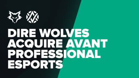 Dire Wolves übernehmen AVANT Gaming - Einstieg in CS:GO 