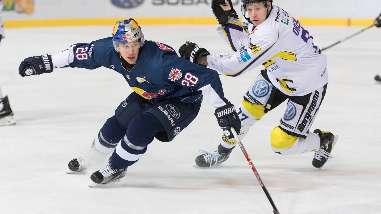 Pinguine verlängern mit Orendorz