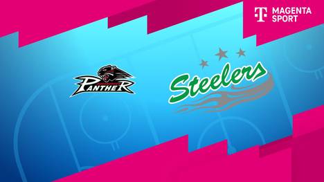 Augsburger Panther - Bietigheim Steelers: Tore und Highlights | PENNY DEL