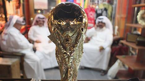 WM-Gastgeber Katar braucht dringend Hilfe vom Iran